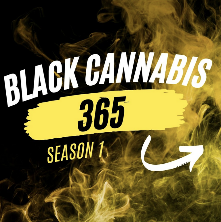 Black Cannabis 365 Season One